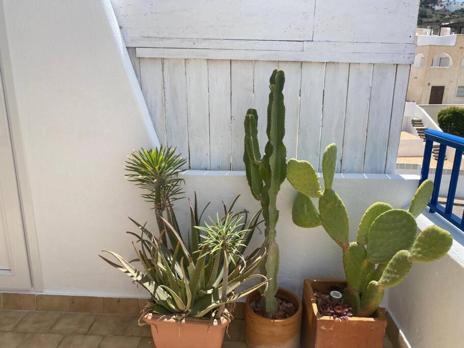 Galeria Tres Pinos Daire San José Dış mekan fotoğraf
